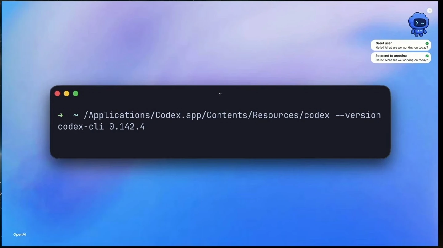 Terminal displays a version check for the Codex binary bundled with the app.