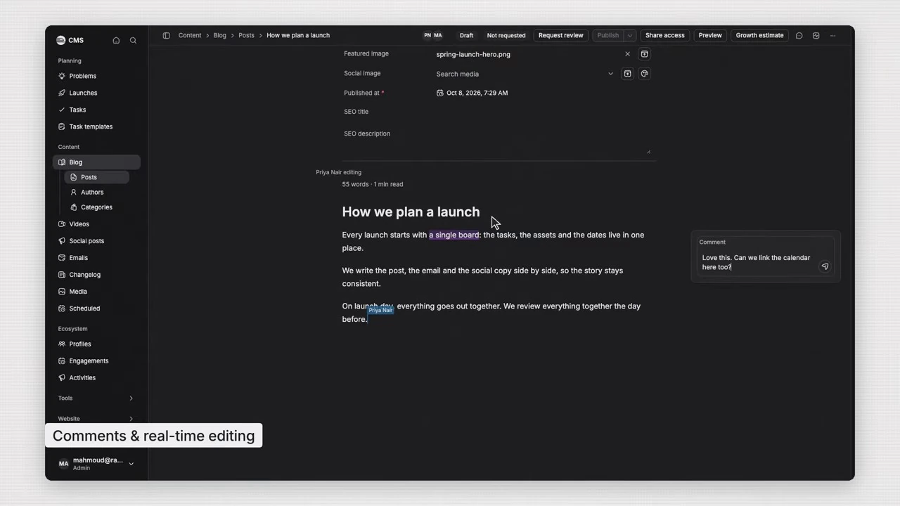 A blog post editor showing a collaborator's selection and a comment panel.