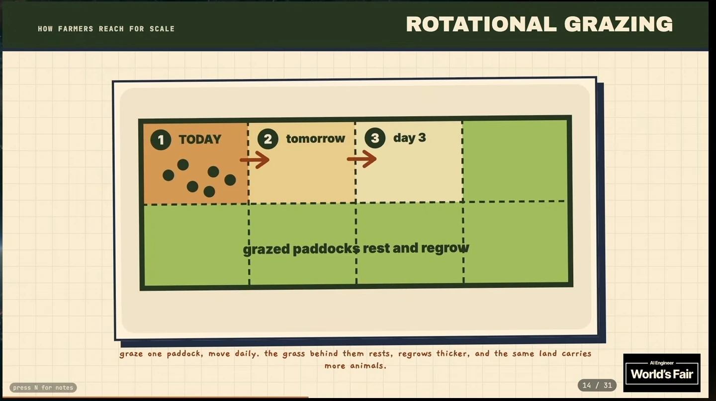 A herd moves through paddocks over successive days while grazed paddocks rest and regrow.