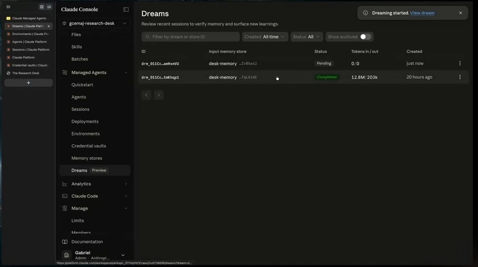 Dreams list showing a pending run and a start confirmation.