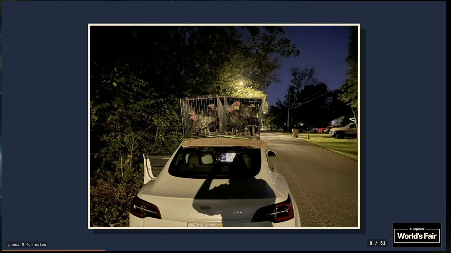 A nighttime photograph of turkeys in cages on the roof of a car.