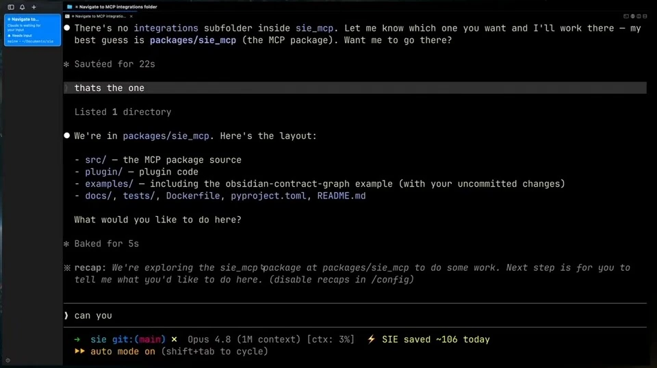 A coding assistant lists the MCP package directories before the demo.
