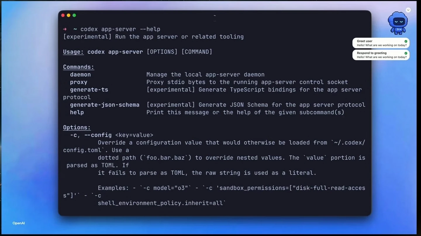 Terminal displays app-server help, including daemon, proxy, and schema generation commands.